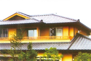 實驗室搖擺制粒機